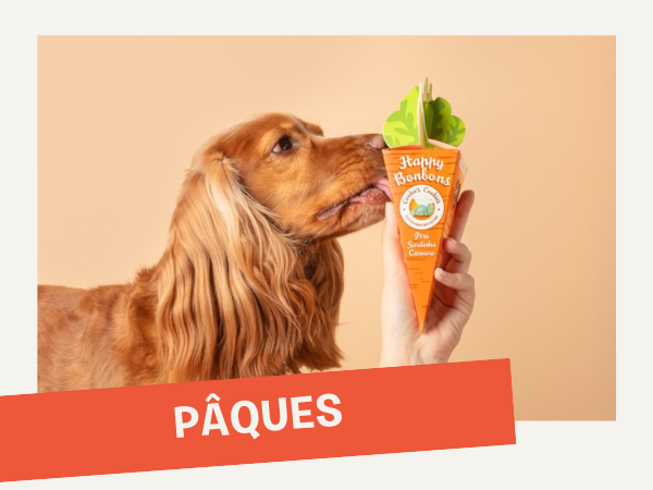 inooko - les meilleurs accessoires de pâques pour chien et chat