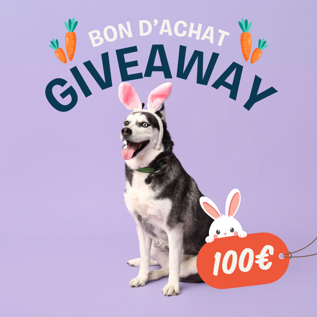 jeu concours de pâques inooko
