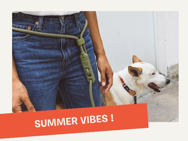 inooko boutique pour chien et chat - nouveautés de mai