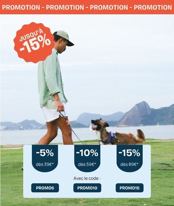 Accessoires pour chien et chat pour combattre la chaleur