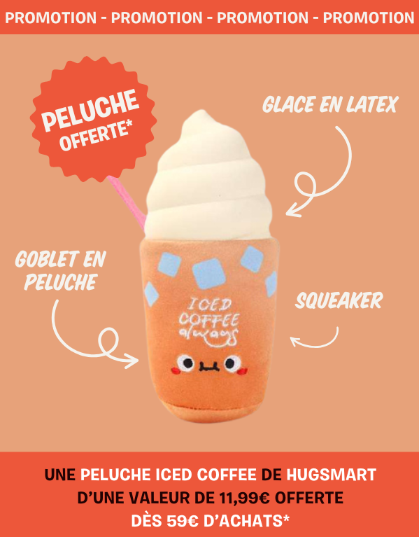 Bannière mars inooko - offre de pâques pour chien et chat