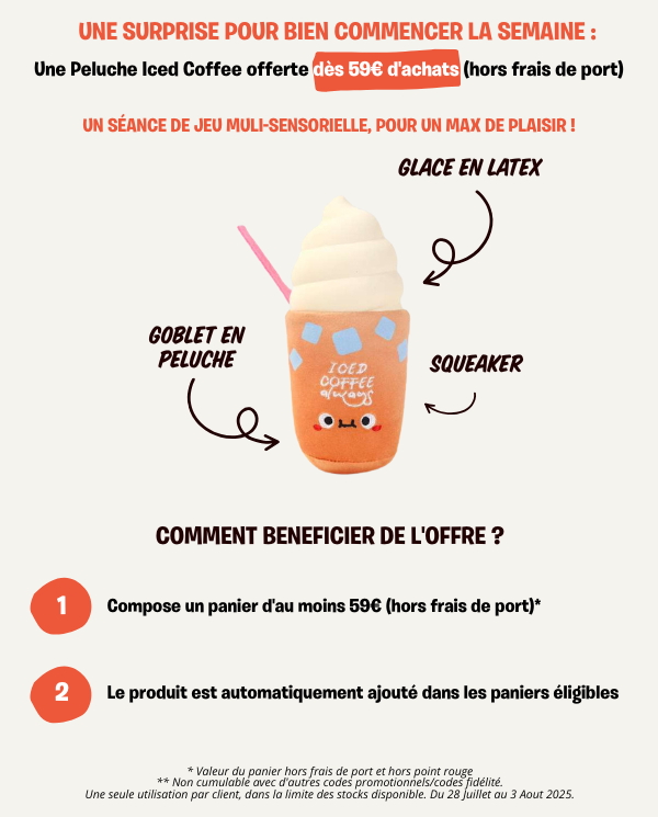 Bannière mars inooko - offre de pâques pour chien et chat