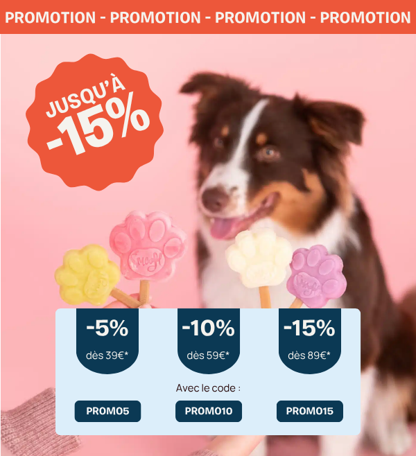 Accessoires pour chien et chat pour combattre la chaleur