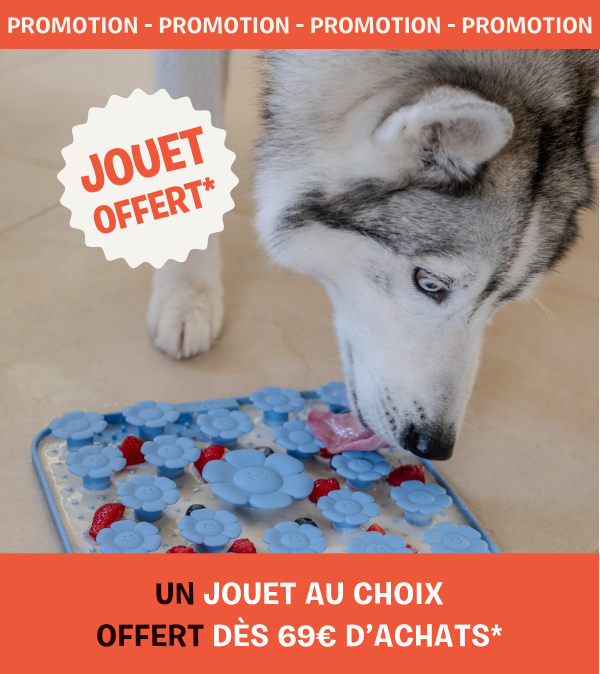 peluche pour chien offerte inooko