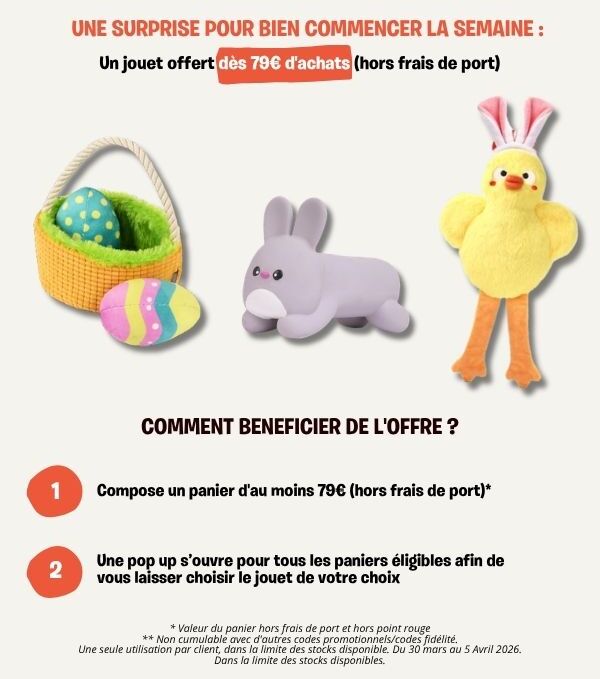 peluche pour chien offerte inooko