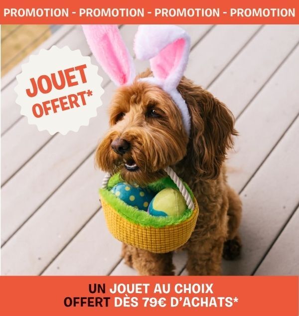 peluche pour chien offerte inooko