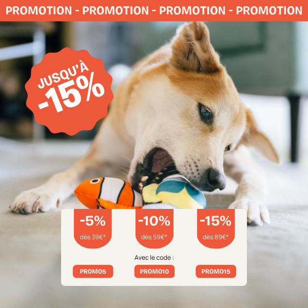 Accessoires pour chien et chat pour combattre la chaleur