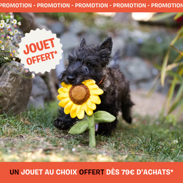 peluche pour chien offerte inooko