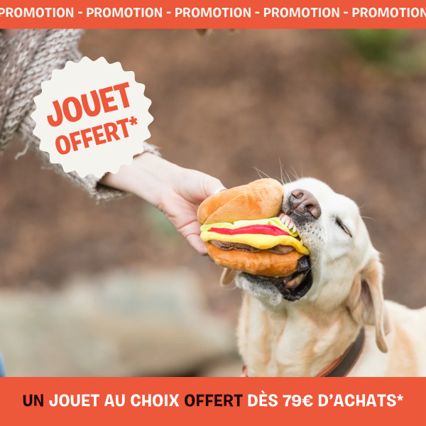 peluche pour chien offerte inooko