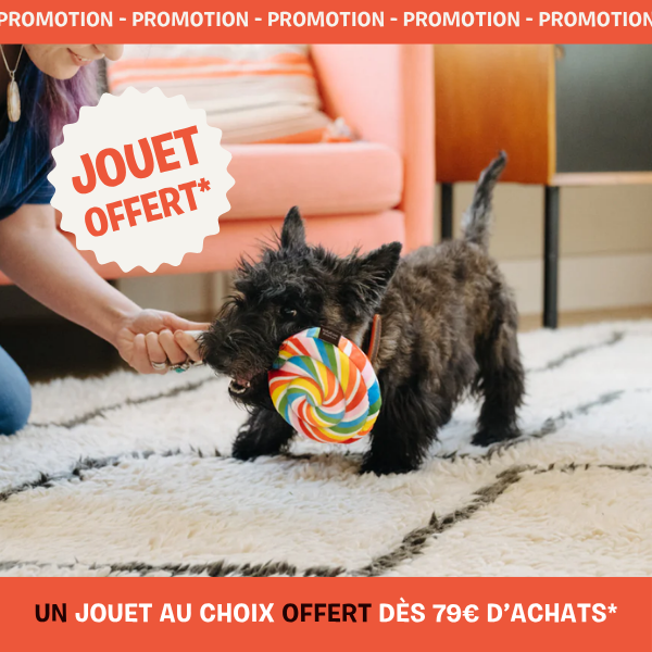 peluche pour chien offerte inooko