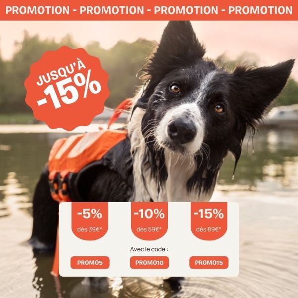 Accessoires pour chien et chat pour combattre la chaleur