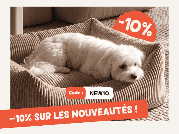 inooko boutique pour chien et chat - nouveautés de mai