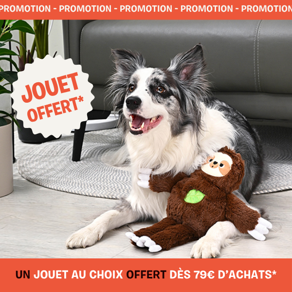 peluche pour chien offerte inooko