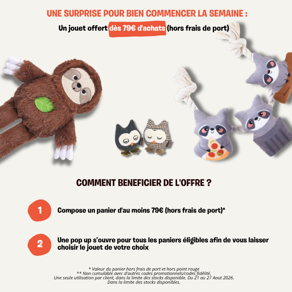 peluche pour chien offerte inooko