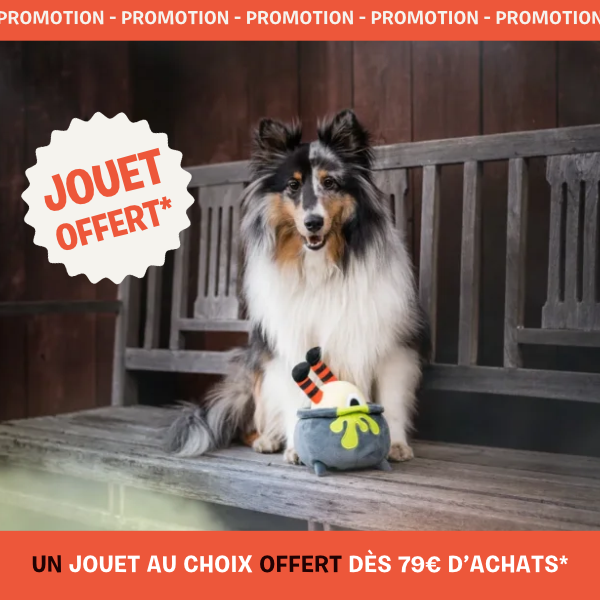 peluche pour chien offerte inooko